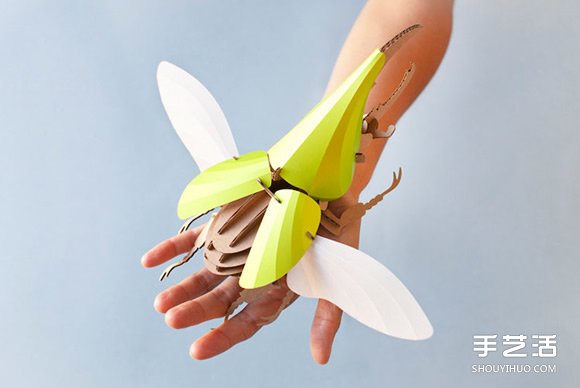 3D昆蟲紙雕 通過拼圖讓你找回手作的樂趣 -  itrip.net.cn