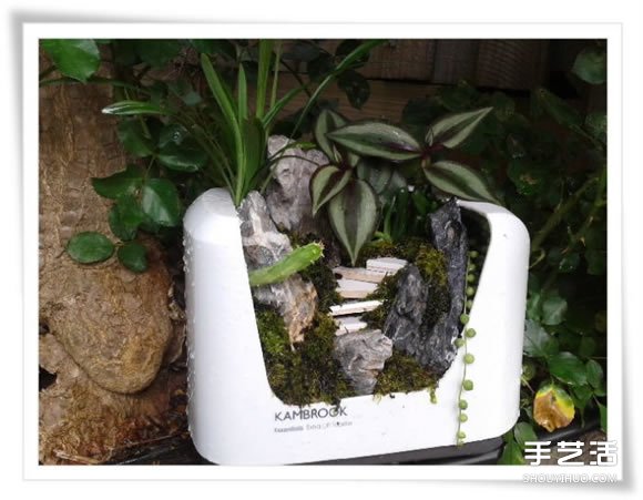 微型花園：廢舊烤面包機(jī)改造制作的美麗盆景 -  itrip.net.cn