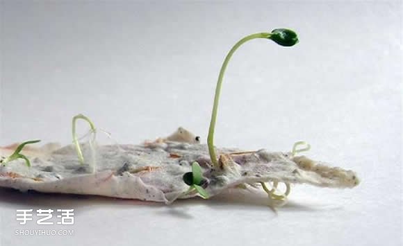會發(fā)芽的創(chuàng)意禮物DIY 帶有種子的吊牌手工制作 -  itrip.net.cn