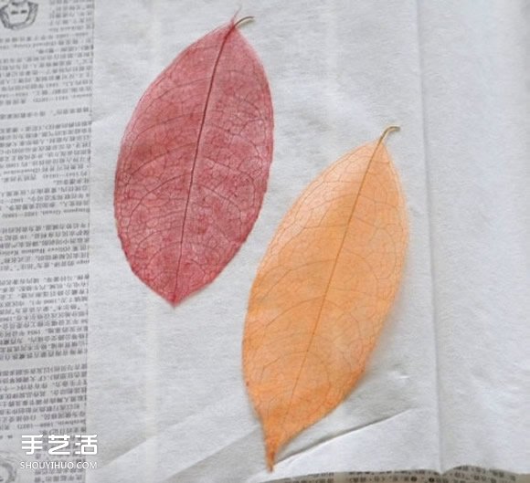 葉脈書(shū)簽最簡(jiǎn)單的做法 自制葉脈書(shū)簽的制作方法 -  itrip.net.cn