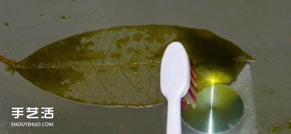 葉脈書(shū)簽最簡(jiǎn)單的做法 自制葉脈書(shū)簽的制作方法 -  itrip.net.cn