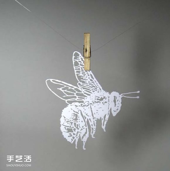 Sam的精美卡紙剪紙 不僅是愛好也是她的工作 -  itrip.net.cn