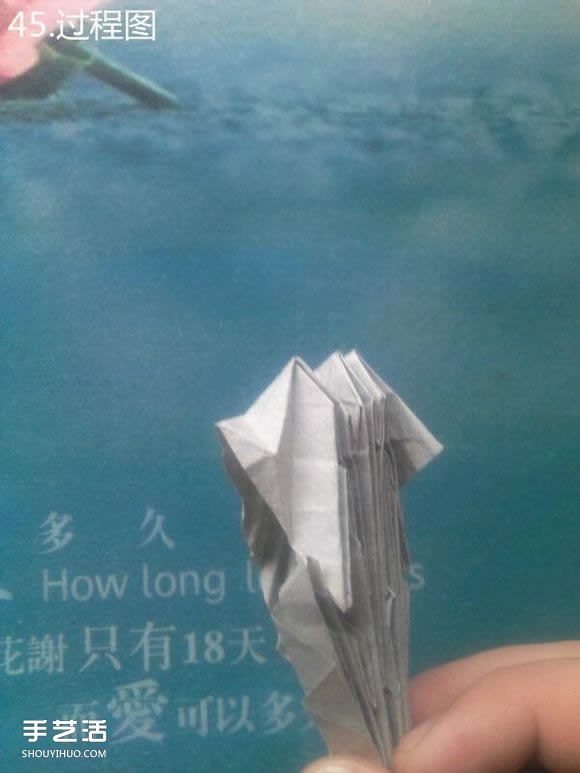 神谷哲史古代龍神1.0折紙實(shí)拍詳細(xì)圖解教程 -  itrip.net.cn
