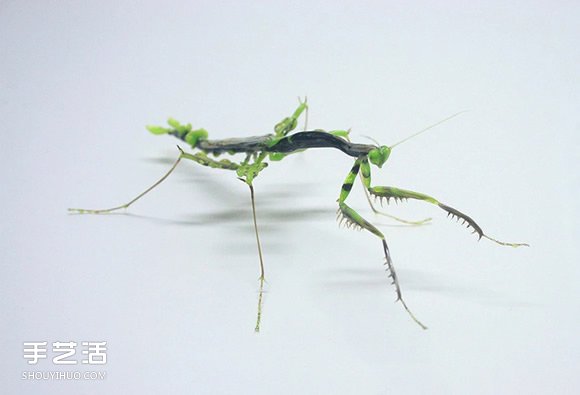 微小璀璨光澤！考驗(yàn)眼力與功力的玻璃昆蟲雕塑 -  itrip.net.cn