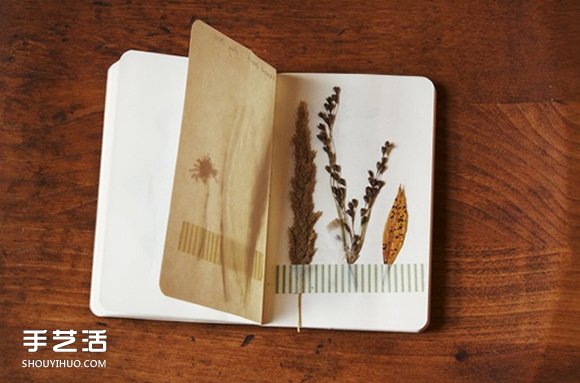 充滿森林氣息的手工植物標(biāo)本DIY圖片欣賞 -  itrip.net.cn