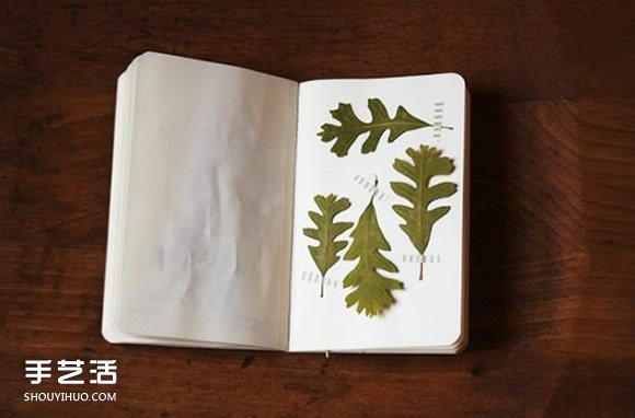 充滿森林氣息的手工植物標(biāo)本DIY圖片欣賞 -  itrip.net.cn
