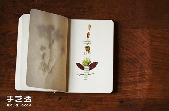 充滿森林氣息的手工植物標(biāo)本DIY圖片欣賞 -  itrip.net.cn
