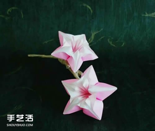 楊桃花怎么折圖解教程 手工楊桃花折紙方法 -  itrip.net.cn