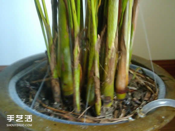 如何自制自動(dòng)澆花器 自動(dòng)澆花器的做法圖解 -  itrip.net.cn