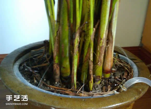 如何自制自動(dòng)澆花器 自動(dòng)澆花器的做法圖解 -  itrip.net.cn