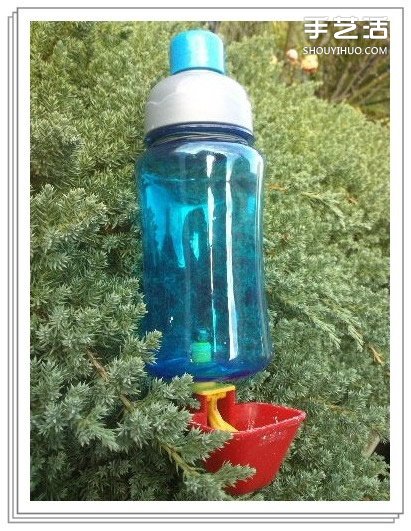 自制寵物自動(dòng)飲水器 自動(dòng)飲水器原理和做法 -  itrip.net.cn