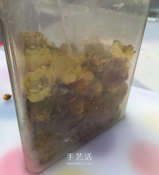 自制蠟梅花蠟燭的方法 鮮花蠟燭禮物DIY制作 -  itrip.net.cn