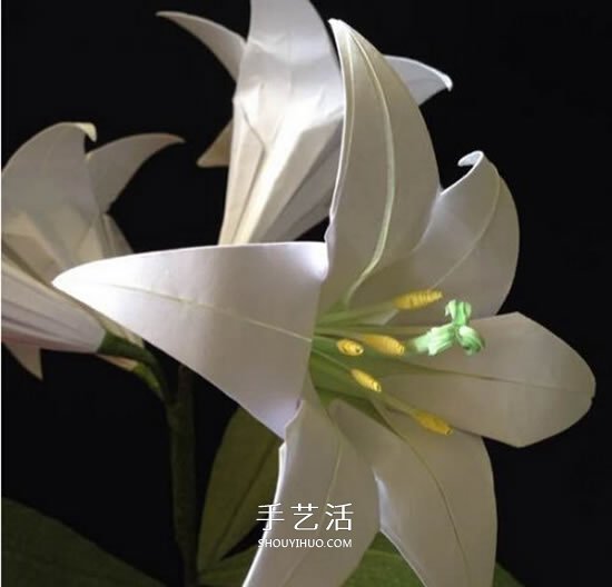 紙百合花的折法圖解 折百合花的方法步驟 -  itrip.net.cn