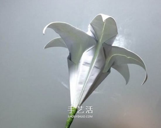 紙百合花的折法圖解 折百合花的方法步驟 -  itrip.net.cn