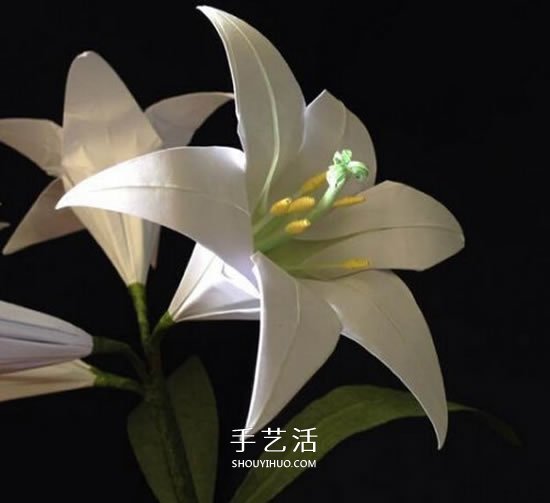紙百合花的折法圖解 折百合花的方法步驟 -  itrip.net.cn