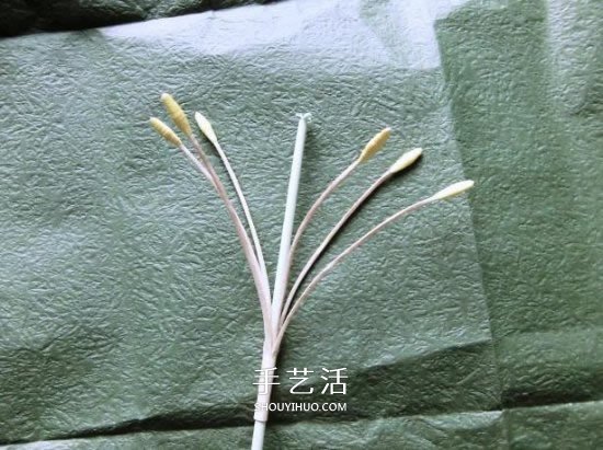 鐵炮百合的折紙過程圖解 手工折鐵炮百合步驟 -  itrip.net.cn
