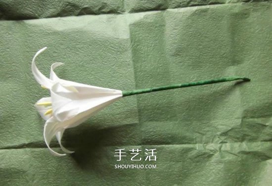 鐵炮百合的折紙過程圖解 手工折鐵炮百合步驟 -  itrip.net.cn