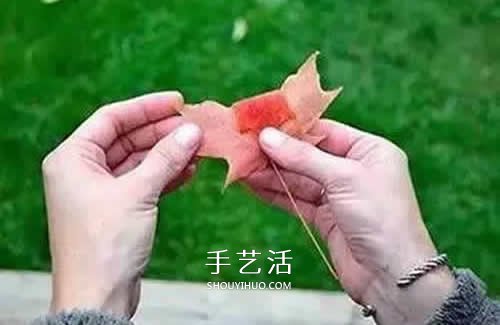 落葉制作玫瑰花圖解 楓葉玫瑰花的做法步驟 -  itrip.net.cn