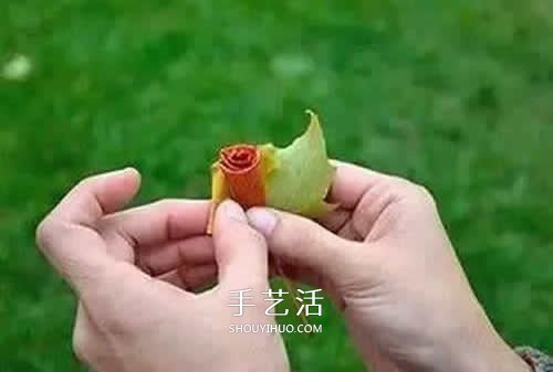 落葉制作玫瑰花圖解 楓葉玫瑰花的做法步驟 -  itrip.net.cn