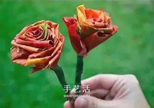落葉制作玫瑰花圖解 楓葉玫瑰花的做法步驟 -  itrip.net.cn