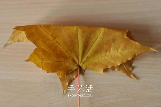 楓葉怎么做玫瑰花教程 簡單楓葉玫瑰DIY方法 -  itrip.net.cn
