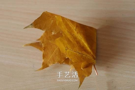 楓葉怎么做玫瑰花教程 簡單楓葉玫瑰DIY方法 -  itrip.net.cn
