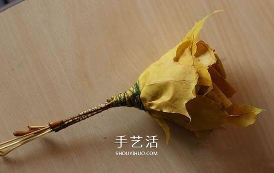 楓葉怎么做玫瑰花教程 簡單楓葉玫瑰DIY方法 -  itrip.net.cn