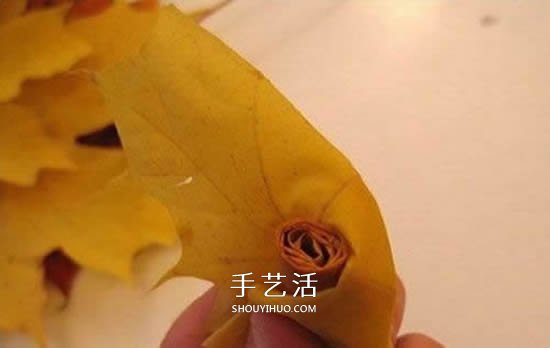 楓葉手工制作玫瑰花苞 樹葉玫瑰花苞的做法 -  itrip.net.cn