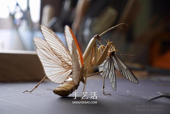 竹子制作的精致昆蟲模型 幾乎和真實(shí)一樣！ -  itrip.net.cn