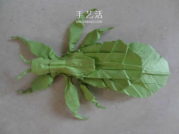 葉蟲的折紙方法圖解 如何折葉子蟲的步驟圖 -  itrip.net.cn