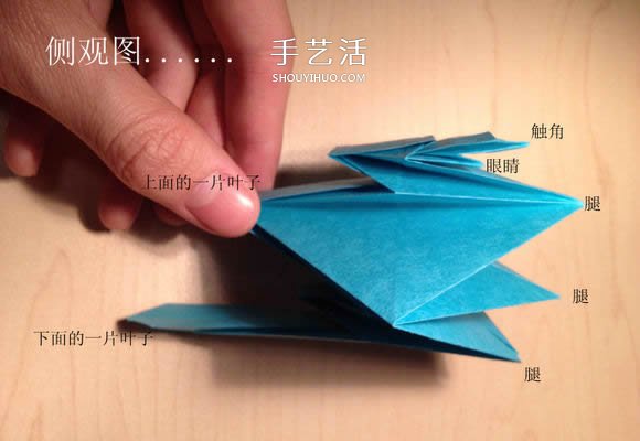 葉蟲的折紙方法圖解 如何折葉子蟲的步驟圖 -  itrip.net.cn