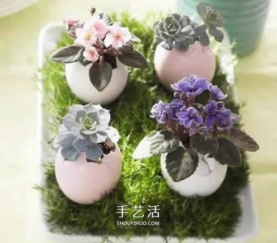 雞蛋殼怎么做花盆圖片 帶來插花般的藝術美感 -  itrip.net.cn