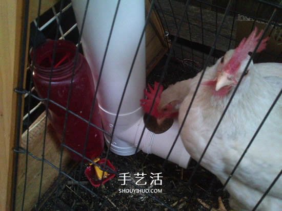 自制T型管道飼料器教程 雞的喂食器做法圖解 -  itrip.net.cn