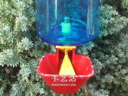 自制養(yǎng)雞飲水器的方法 簡(jiǎn)易寵物飲水器的制作 -  itrip.net.cn