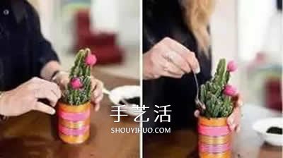 自制小盆栽的方法圖解 簡單鐵罐子廢物利用 -  itrip.net.cn