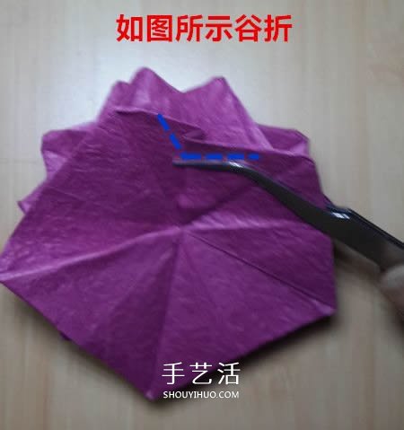 25瓣玫瑰的折法圖解 羅伯特?朗的玫瑰花折紙 -  itrip.net.cn