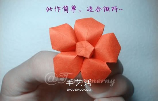 手工五星花的折法圖解 還可以做成花型收納盒 -  itrip.net.cn