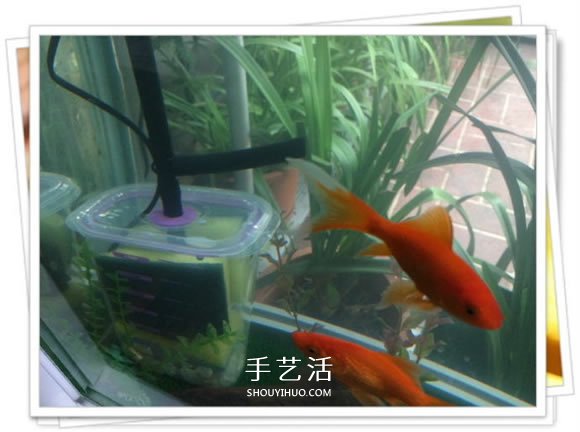 自制魚缸過濾器的方法 幾塊錢就能完成很實(shí)用！ -  itrip.net.cn