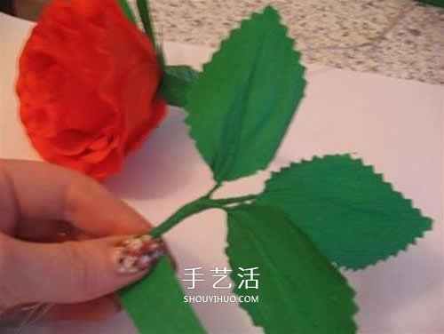 皺紋紙做花：漂亮紙玫瑰花的制作方法圖解 -  itrip.net.cn