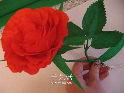 皺紋紙做花：漂亮紙玫瑰花的制作方法圖解 -  itrip.net.cn