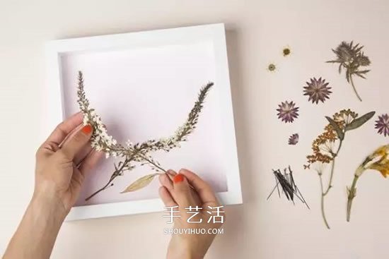 用押花留住春天的美！干花做法及押花裝飾畫DIY -  itrip.net.cn