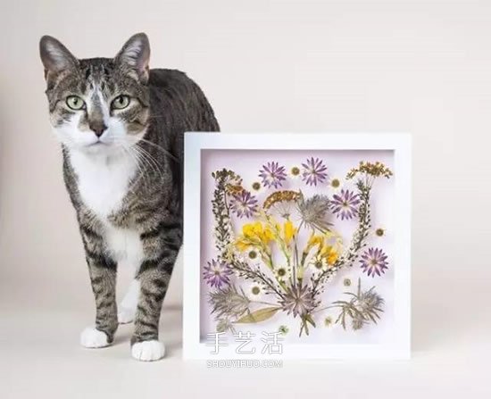 用押花留住春天的美！干花做法及押花裝飾畫DIY -  itrip.net.cn