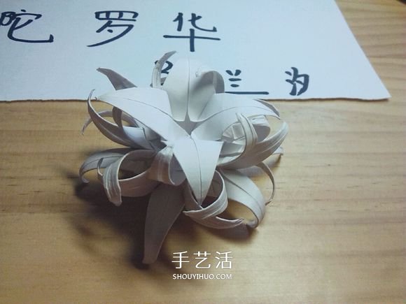 曼陀羅華的折法圖解 手工怎么折白色彼岸花 -  itrip.net.cn