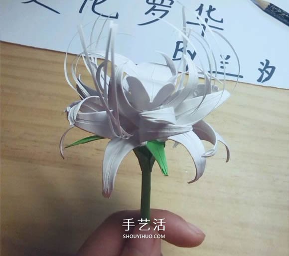 曼陀羅華的折法圖解 手工怎么折白色彼岸花 -  itrip.net.cn