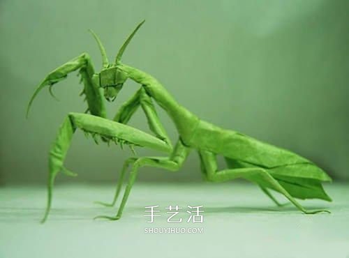 如何更好的折紙 及怎樣提高折紙水平的方法 -  itrip.net.cn