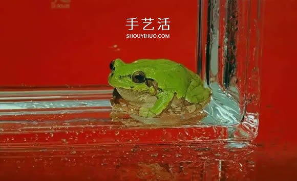 真沒(méi)糊弄你！韓國(guó)畫(huà)家一筆一筆畫(huà)的超寫實(shí)畫(huà) -  itrip.net.cn