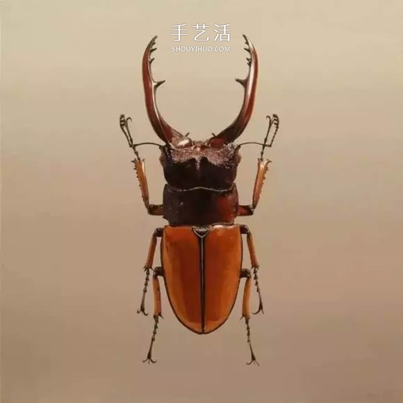 真沒(méi)糊弄你！韓國(guó)畫(huà)家一筆一筆畫(huà)的超寫實(shí)畫(huà) -  itrip.net.cn
