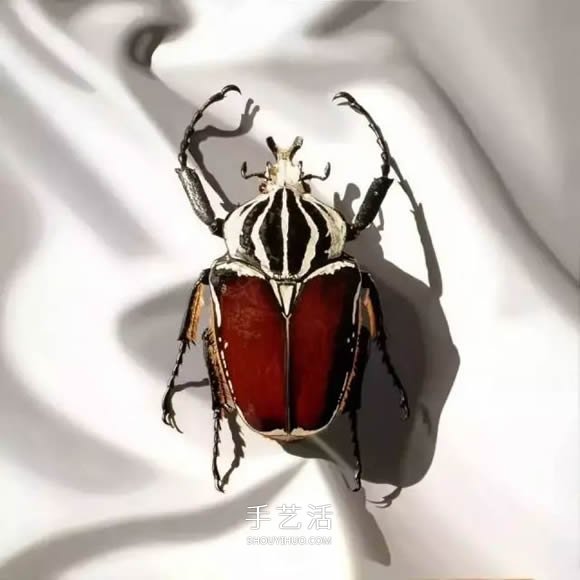 真沒(méi)糊弄你！韓國(guó)畫(huà)家一筆一筆畫(huà)的超寫實(shí)畫(huà) -  itrip.net.cn