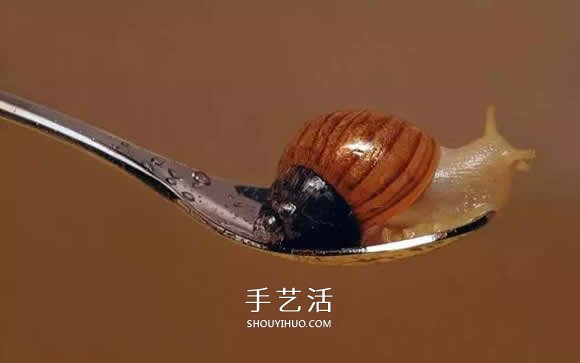 真沒(méi)糊弄你！韓國(guó)畫(huà)家一筆一筆畫(huà)的超寫實(shí)畫(huà) -  itrip.net.cn