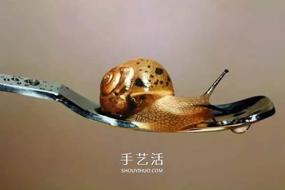 真沒(méi)糊弄你！韓國(guó)畫(huà)家一筆一筆畫(huà)的超寫實(shí)畫(huà) -  itrip.net.cn